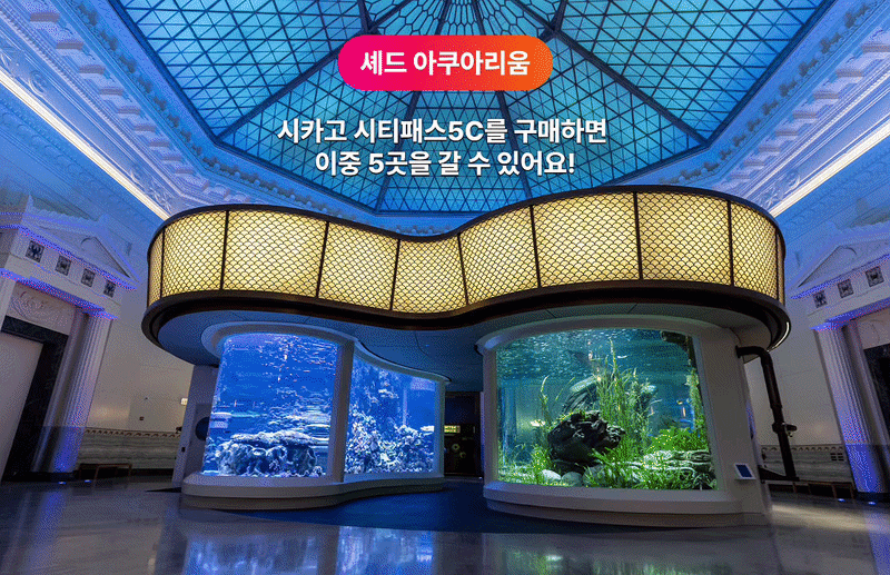 시카고 시티패스 5C (5개 어트랙션) 상세 이미지 1