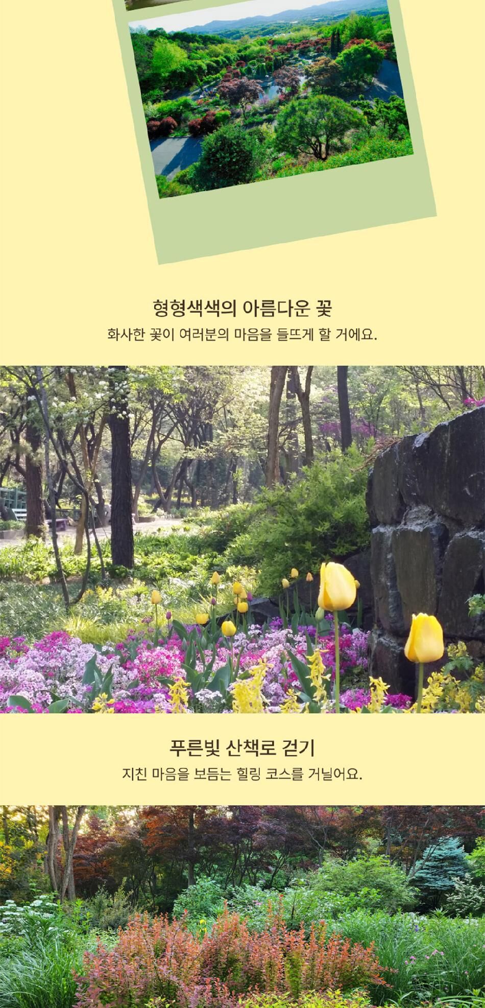 [경기] 용인 한택식물원 단독상품 상세 이미지 10