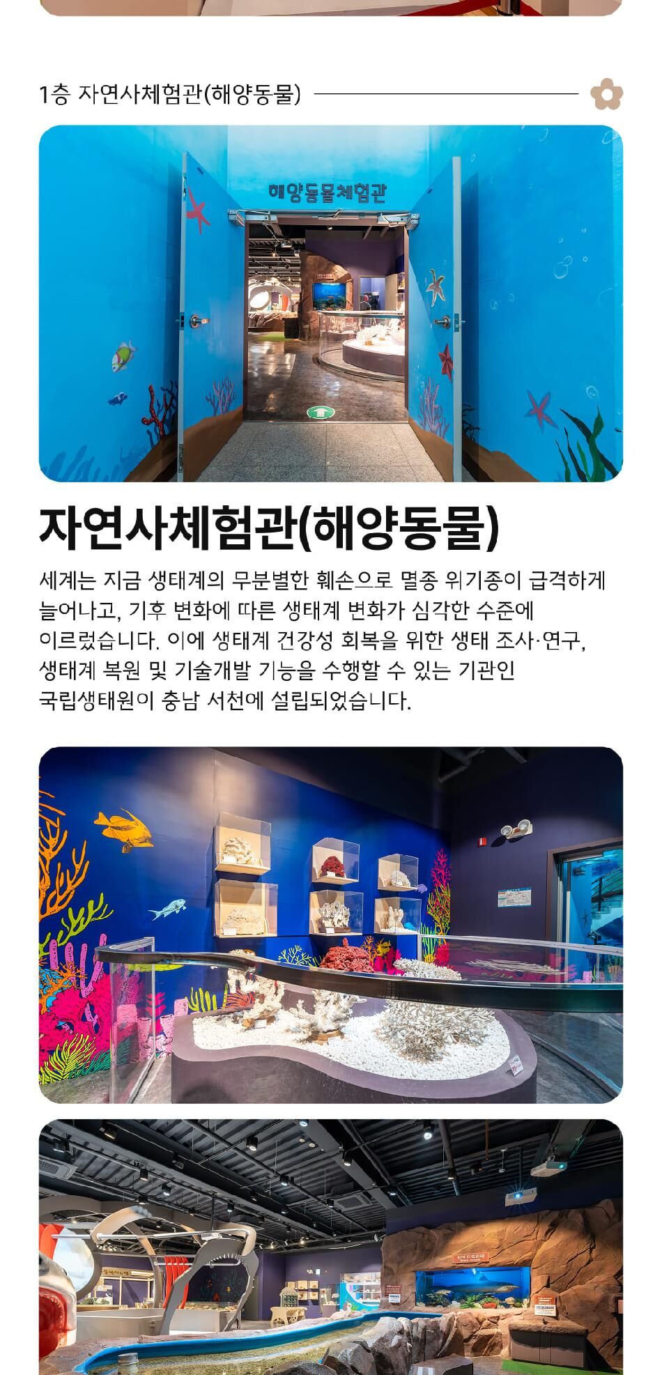 [충남] 청양 목재문화자연사체험관 상세 이미지 10