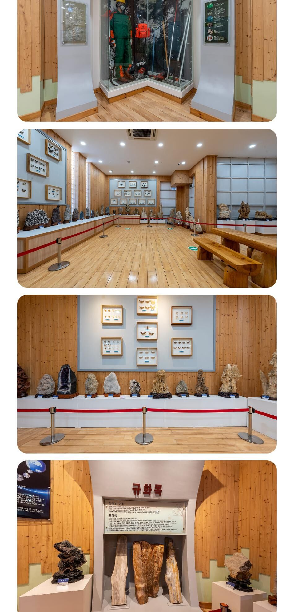[충남] 청양 목재문화자연사체험관 상세 이미지 9