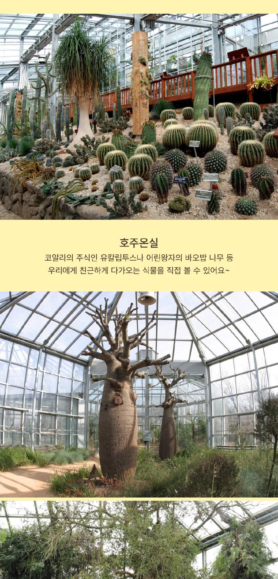 [경기] 용인 한택식물원 단독상품 상세 이미지 14