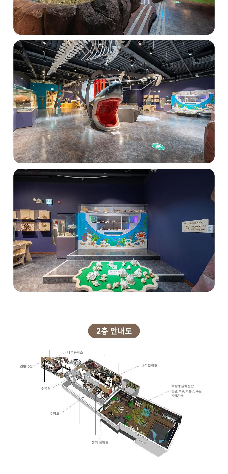 [충남] 청양 목재문화자연사체험관 상세 이미지 11