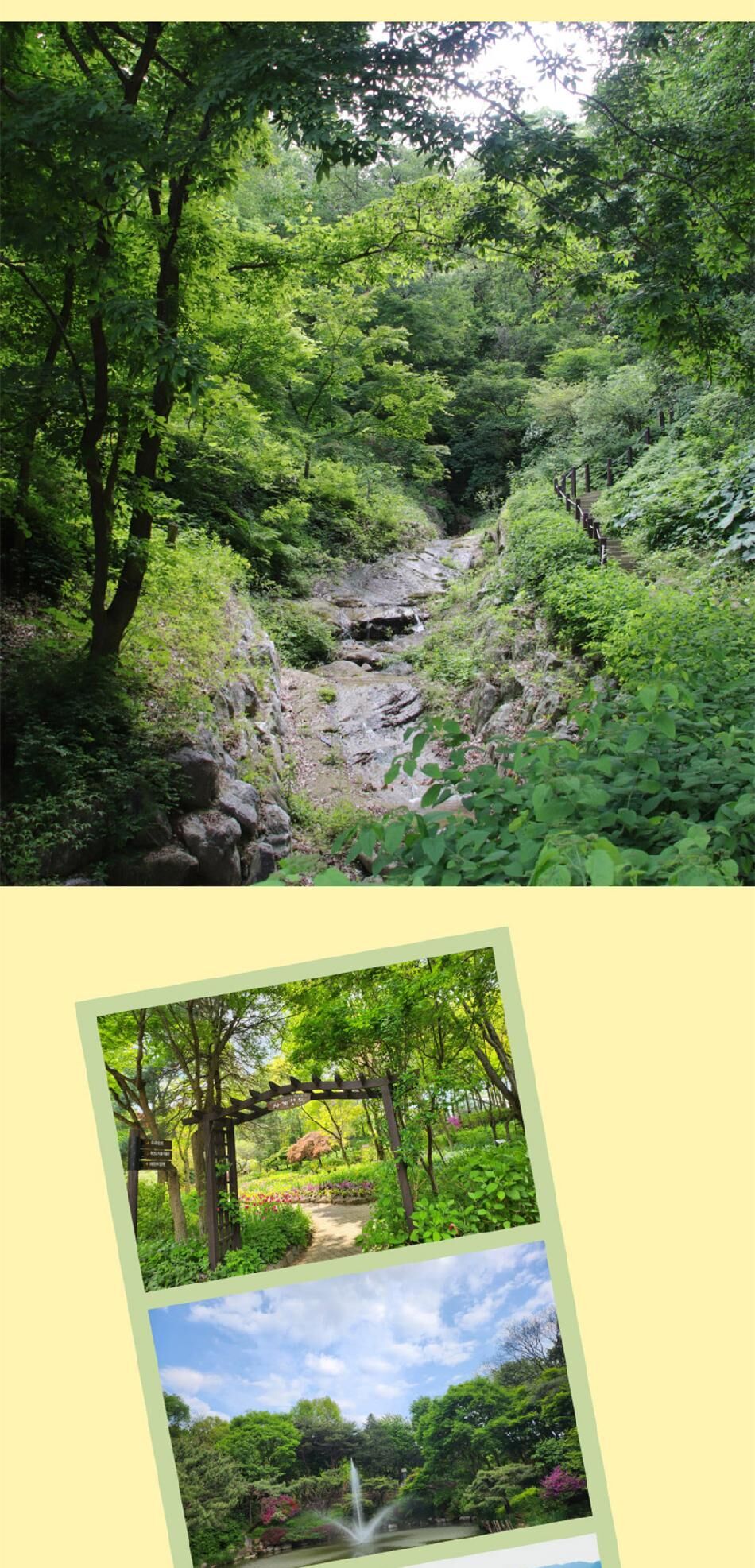 [경기] 용인 한택식물원 단독상품 상세 이미지 9
