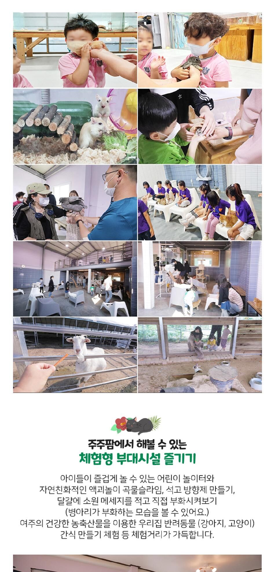 [여주] 주주팜 동물체험농장 상세 이미지 8