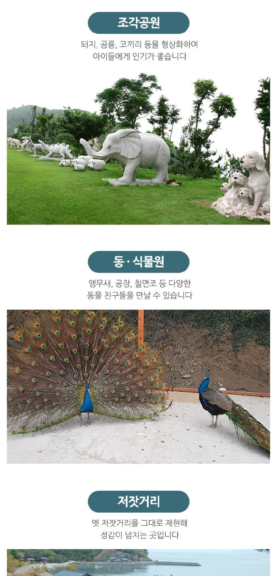[전남 완도] 청해포구 촬영장 입장권 상세 이미지 4