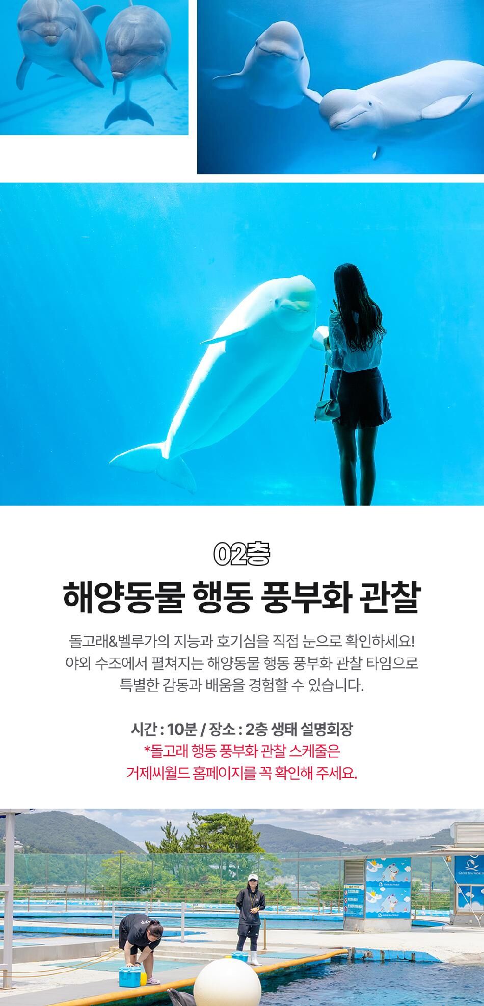 [경남] 거제 씨월드 입장권 상세 이미지 9