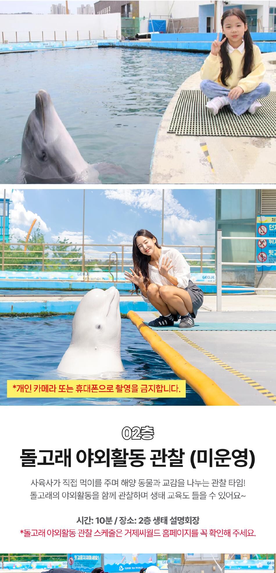 [경남] 거제 씨월드 입장권 상세 이미지 11