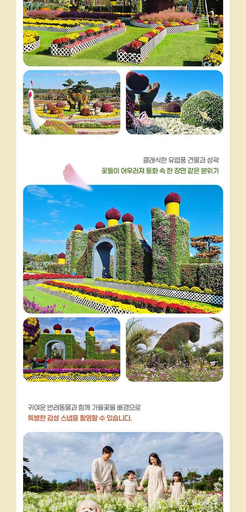 [태안] 2026 태안 가을꽃박람회 입장권 2차 얼리버드  상세 이미지 6