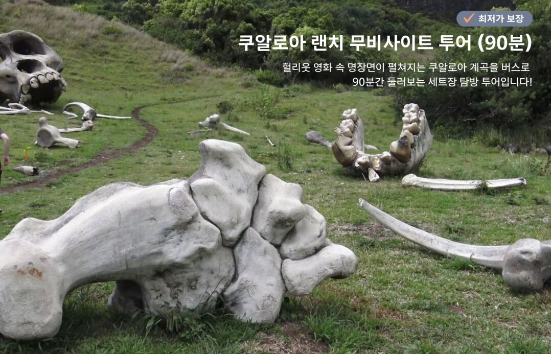 [오아후] 하와이 쿠알로아 랜치 무비사이트 투어 (90분) 상세 이미지 1