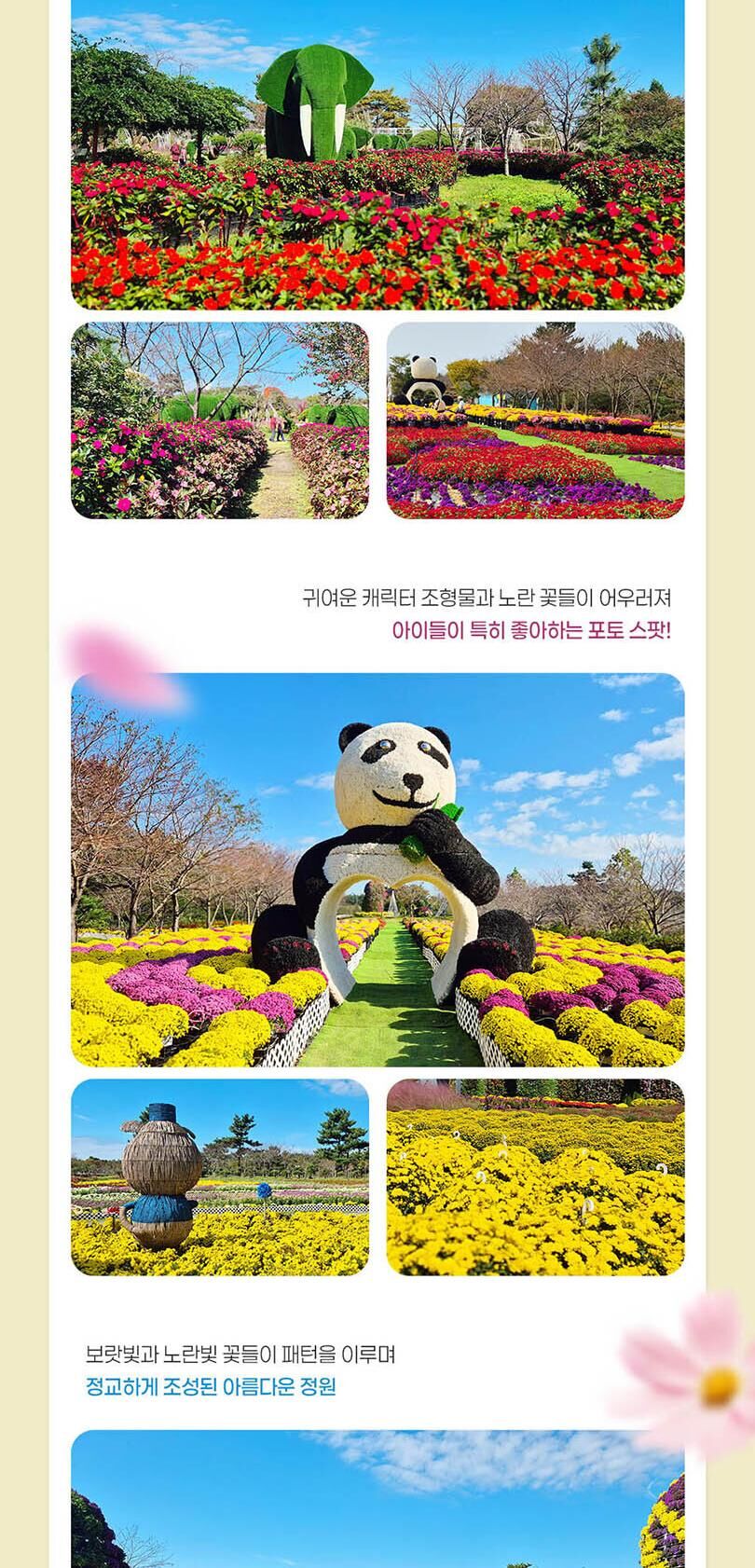 [태안] 2026 태안 가을꽃박람회 입장권 2차 얼리버드  상세 이미지 4