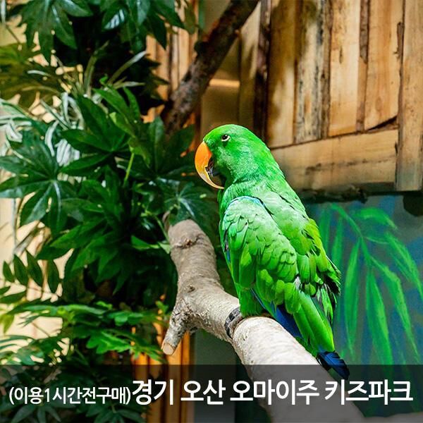 [경기 오산] 오마이주 키즈파크
