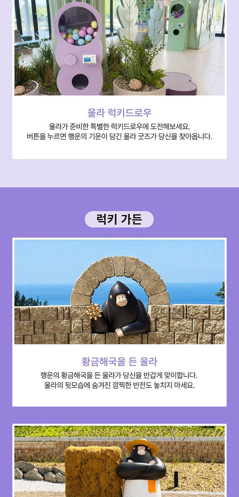 [울릉도] 카페울라 럭키가든 입장권+음료이용권 PKG  상세 이미지 5