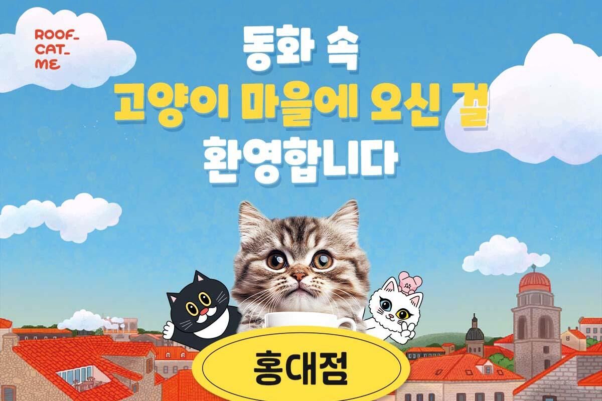 [서울] 루프캣미 실내 고양이카페 홍대점