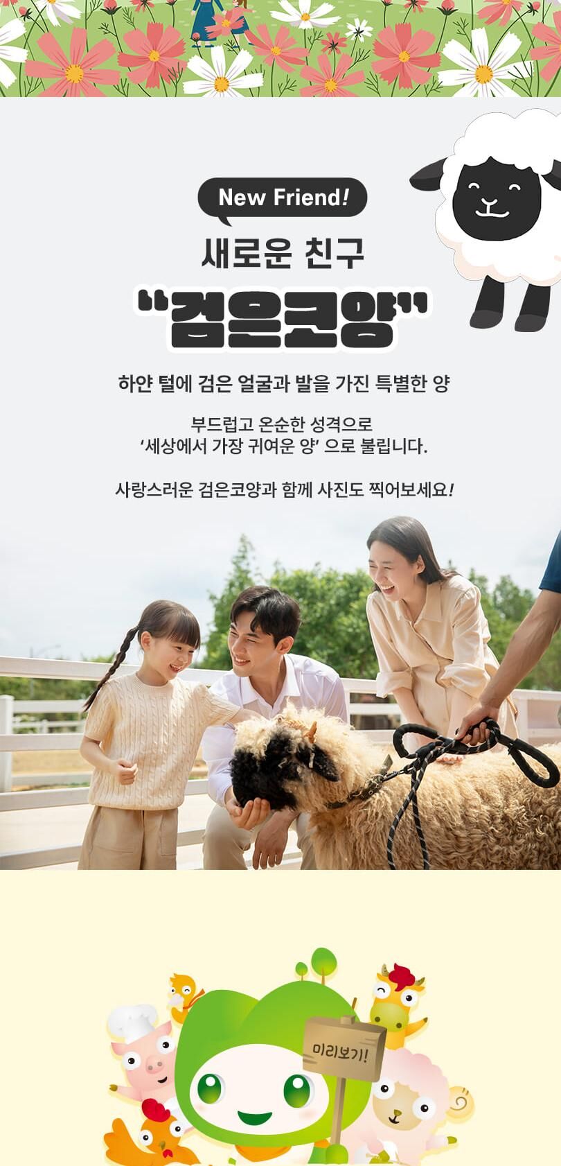 투어·티켓 상품 상세 이미지 10