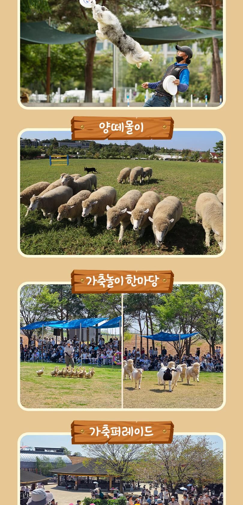 안성팜랜드 입장권 + 승마 패키지(9/1~9/13 이용 가능)  상세 이미지 12
