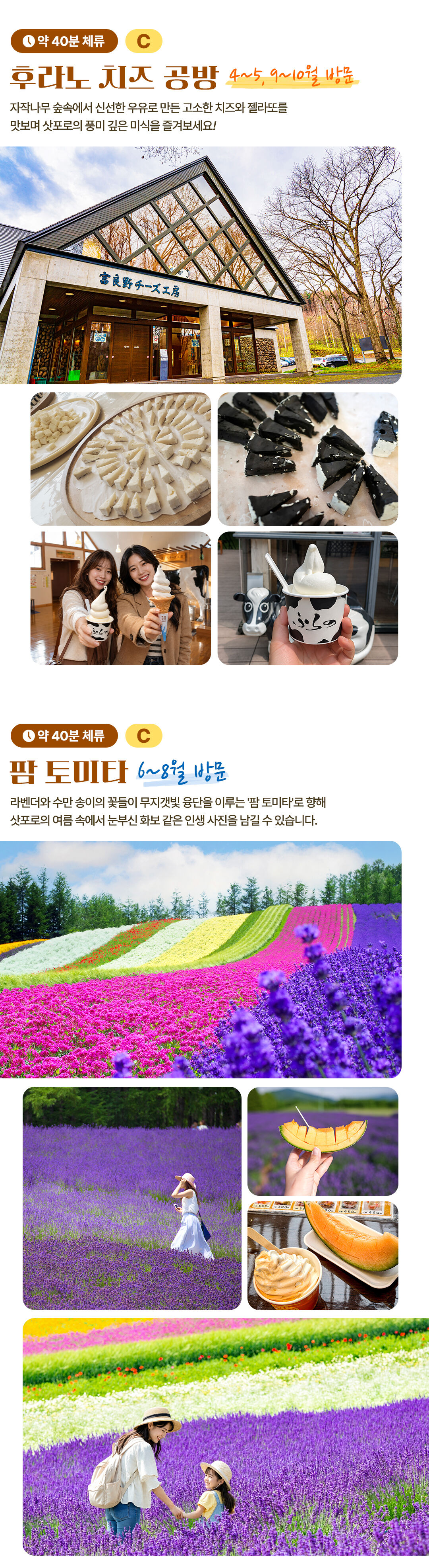 [삿포로 늦은 출발] 여유로운 비에이 & 후라노 핵심코스 하이라이트 일일버스투어 상세 이미지 6