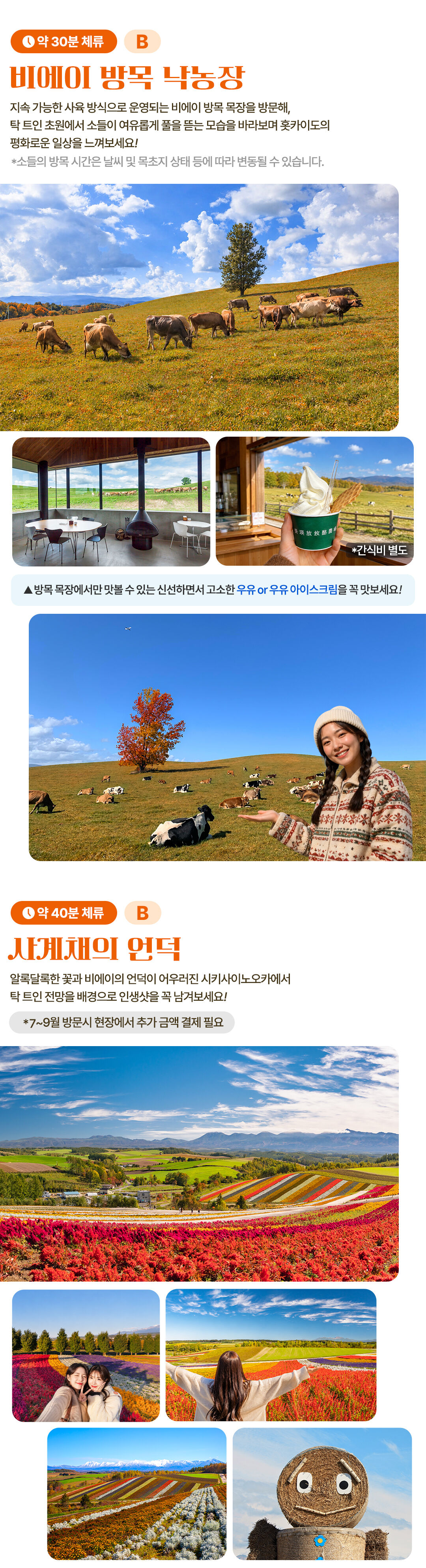 [삿포로 늦은 출발] 여유로운 비에이 & 후라노 핵심코스 하이라이트 일일버스투어 상세 이미지 5