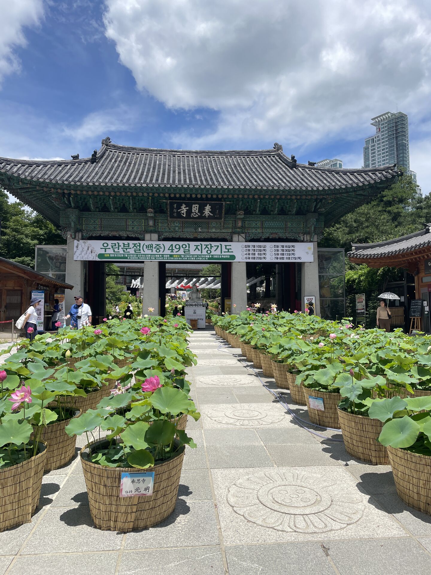서울 도심 속 마음챙김 | 싱잉볼 명상 & 봉은사 걷기 상세 이미지 6