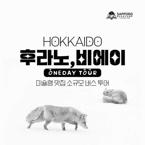 [홋카이도비에이설경 30명버스투어 ]1초도 웨이팅 없는 준페이식사 크리스마스나무닝구르테라스 상품 이미지