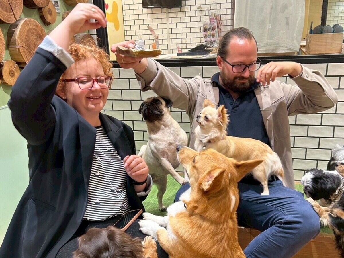 Dog Café Rio 신주쿠점 (도쿄)