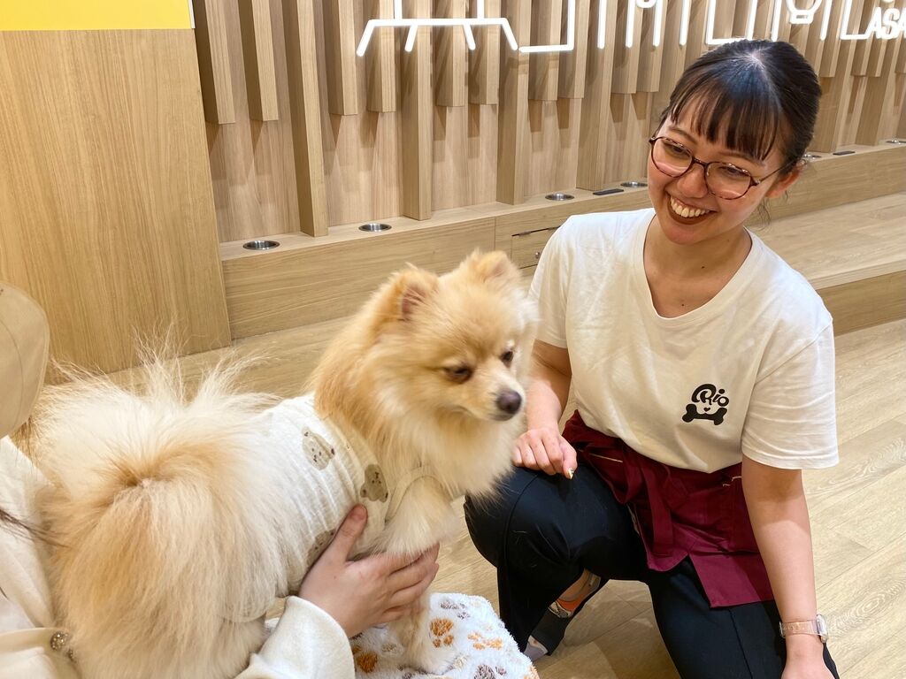 Dog Cafe Rio 아사쿠사 (도쿄) 상세 이미지 3