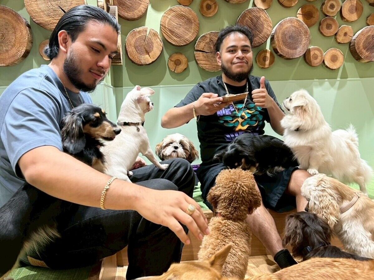 Dog Café Rio 신주쿠점 (도쿄) 상세 이미지 2