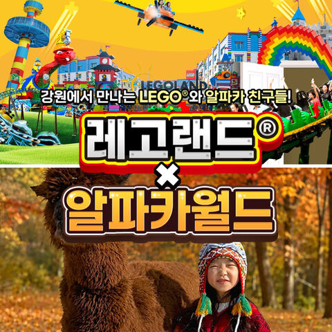 춘천 티켓·입장권 - [강원] 레고랜드X알파카월드 PKG
