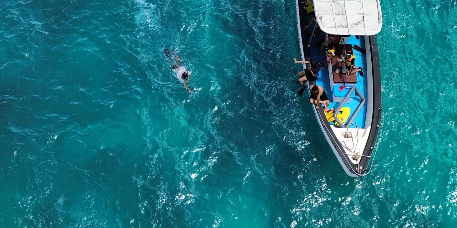 발리 출발 프라이빗 스노클링 투어 — 만타 베이·크리스털 베이 4곳