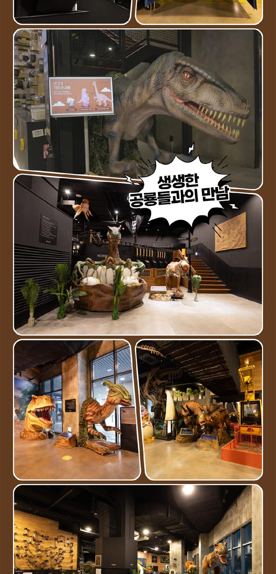[경기] 시흥 공룡월드&키즈카페 그랜드오픈특가 상세 이미지 8