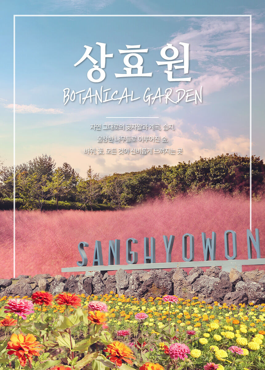 투어·티켓 상품 상세 이미지 4