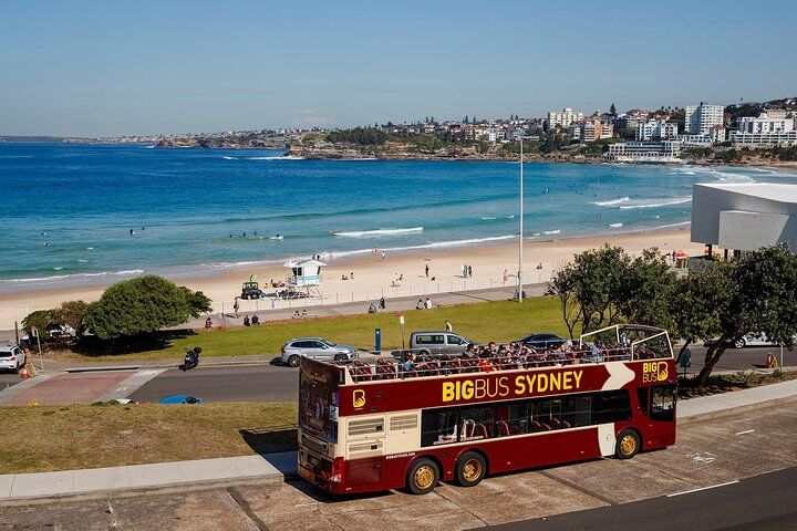 Sydney and Bondi Big 버스 Hop-on Hop-off 투어(옵션 크루즈 포함)