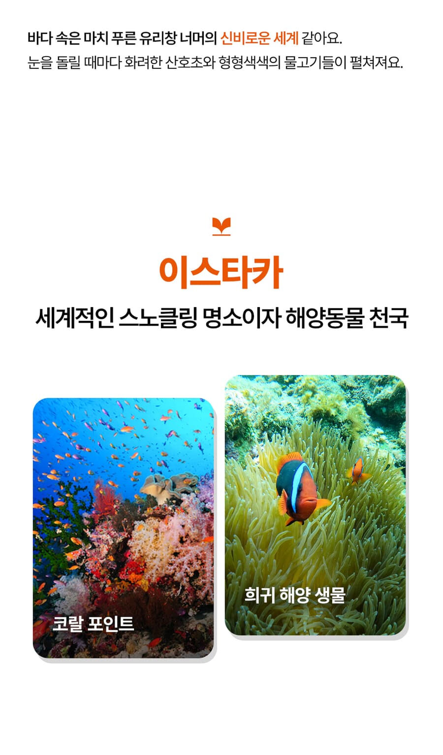 투어·티켓 상품 상세 이미지 25