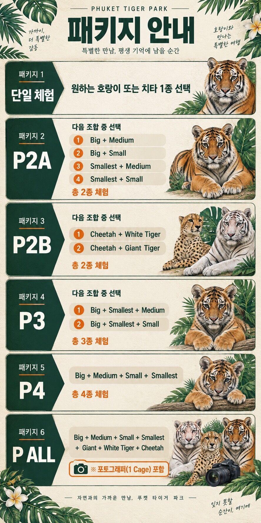 🐯 [푸켓] 타이거 파크 입장권 | 호랑이·백호·치타 체험 & 사진 촬영 상세 이미지 4