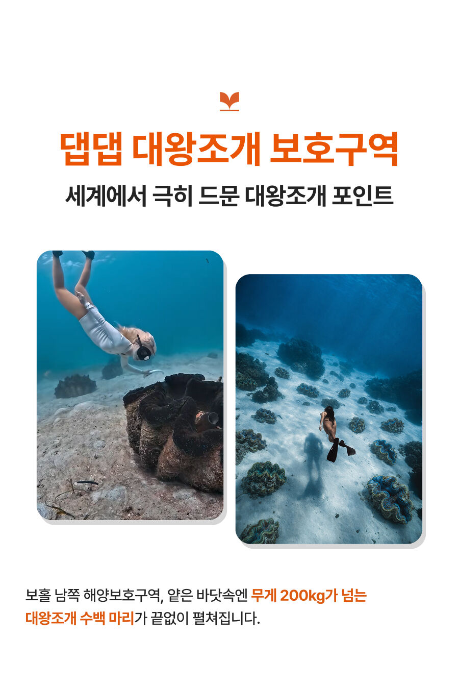투어·티켓 상품 상세 이미지 34