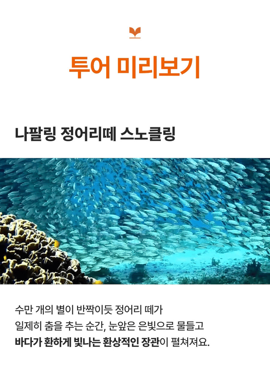투어·티켓 상품 상세 이미지 13