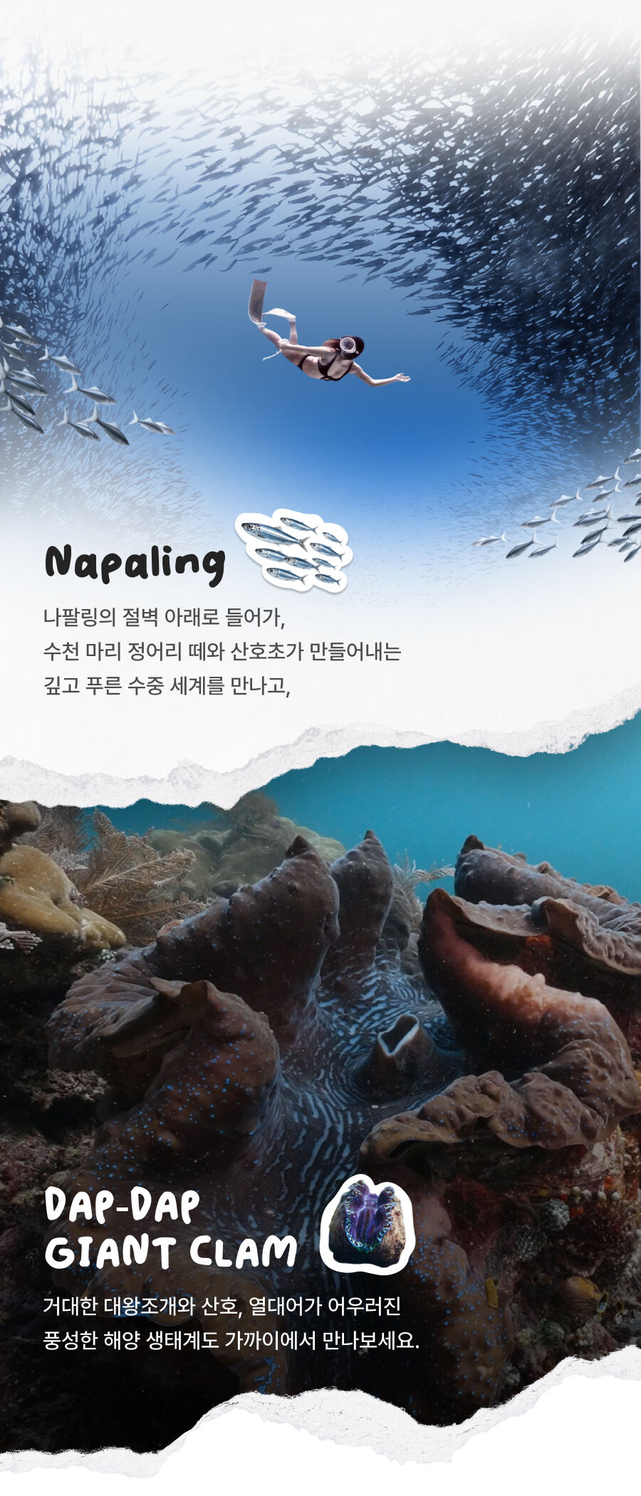 투어·티켓 상품 상세 이미지 3