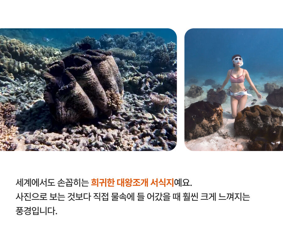 투어·티켓 상품 상세 이미지 17