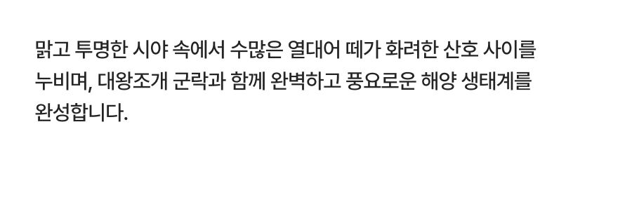 투어·티켓 상품 상세 이미지 22