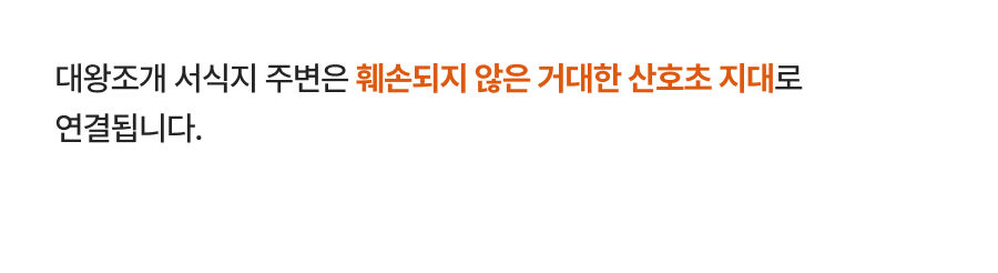 투어·티켓 상품 상세 이미지 20