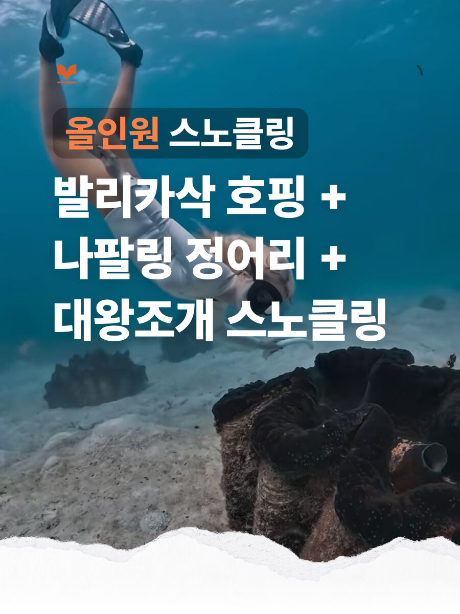 투어·티켓 상품