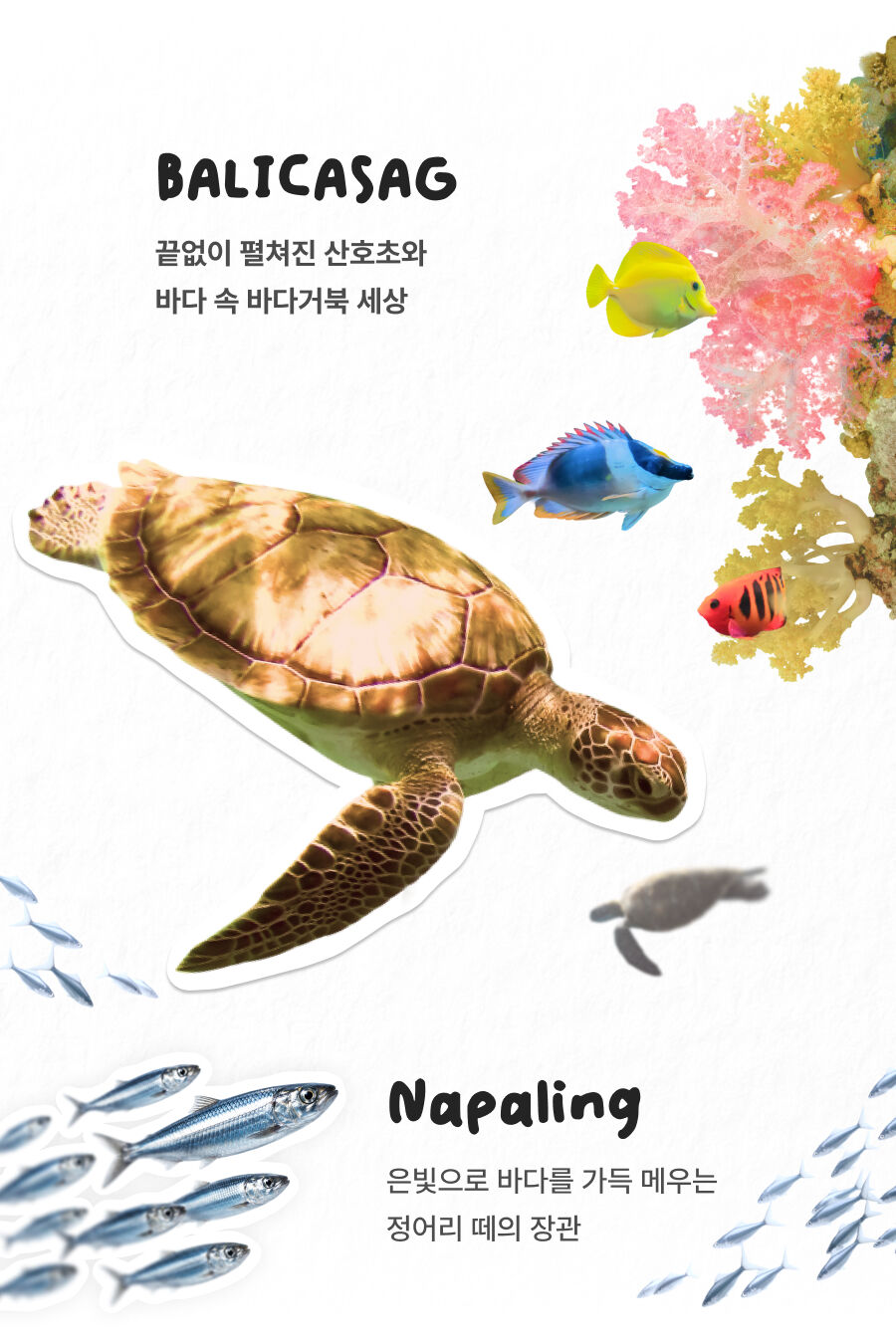 투어·티켓 상품 상세 이미지 2