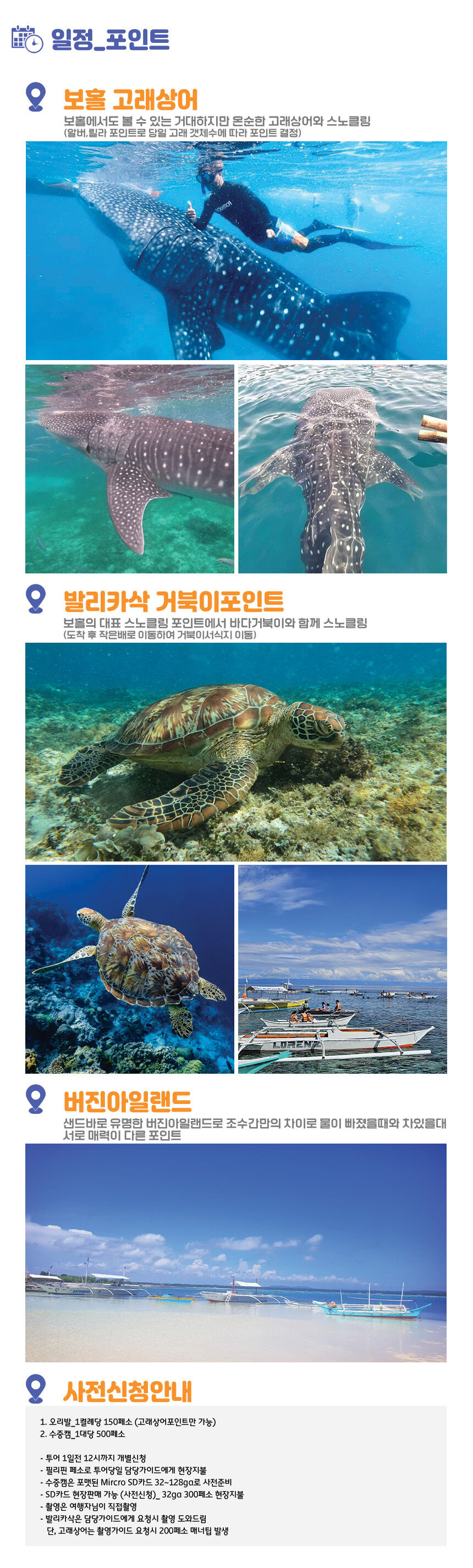 ★11월오픈예정★[보홀] 고래상어 발리카삭 호핑투어 (스노클링 거북이 버진아일랜드) 상세 이미지 7