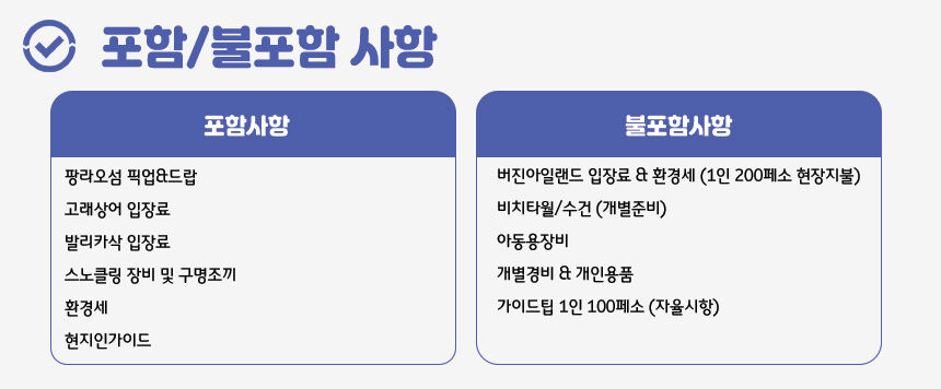 ★11월오픈예정★[보홀] 고래상어 발리카삭 호핑투어 (스노클링 거북이 버진아일랜드) 상세 이미지 11