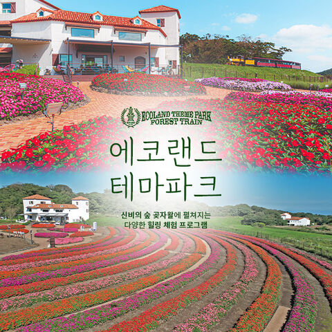 제주도 티켓·입장권 - [제주] 에코랜드테마파크+심쿵혜택