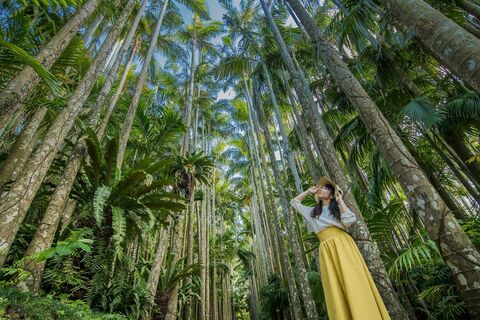 오키나와 티켓·입장권 - [ 오키나와 | 중부 ] 오키나와 동남 식물원