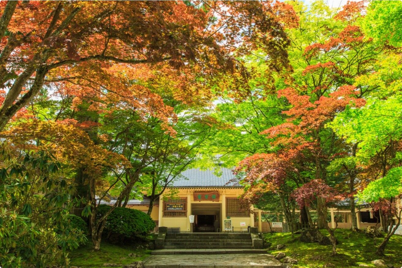 고야산 | 단조가란·곤고부지 석정·오쿠노인 참배로·정진요리(한국인가이드/프라이빗투어)