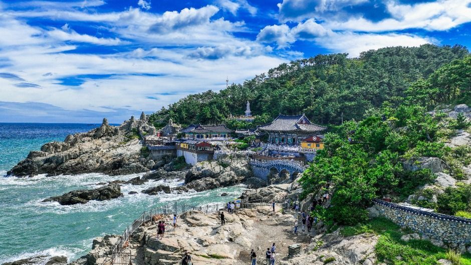 [부산] 용궁사 · 청사포전망대 · 블루라인해변열차 · UN기념공원 · 부평깡통시장