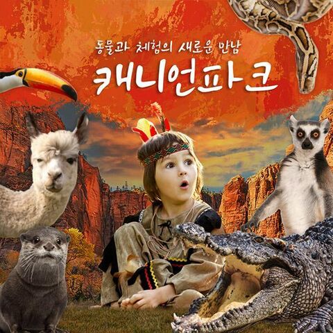 울산 티켓·입장권 - [울산 중구] 캐니언파크 입장권