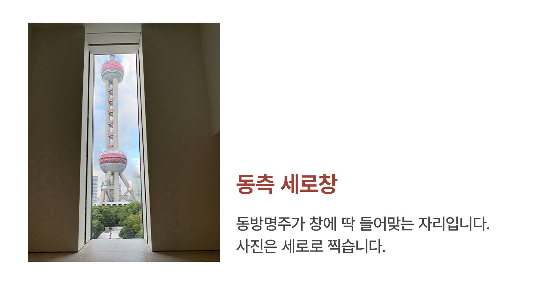 상하이 푸동미술관 한국어 도슨트 투어 : [모란디]편 (입장권 포함) 상세 이미지 19