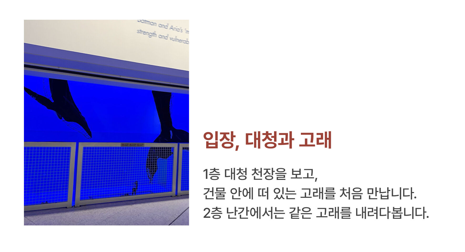 상하이 푸동미술관 한국어 도슨트 투어 : [모란디]편 (입장권 포함) 상세 이미지 16